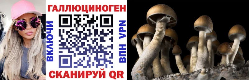 Псилоцибиновые грибы Cubensis  наркотики  Берёзовский 
